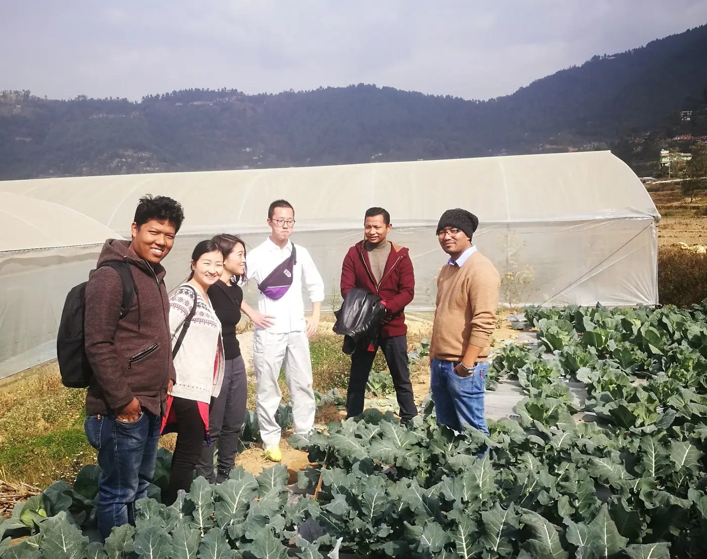 International partners and staff standing before a poly-tunnel in a mustard field near Godawari